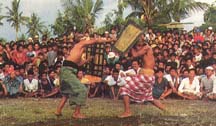Lombok Fight