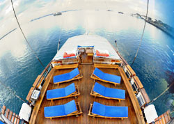 SeaSafari Cruises