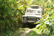 Bali Tropical Safaris