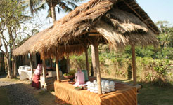 Bali Tropical Safaris