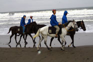Bali Tropical Safaris