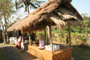 Bali Tropical Safaris