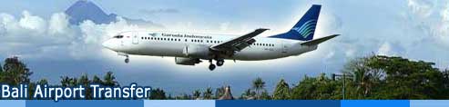 guides,bali airport transfer