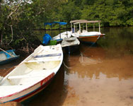 Rocky Lembongan Fast Cruise