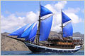 Bali Best - Sea Safari Cruise