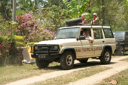 Bali Tropical Safaris