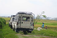 Bali Tropical Safaris