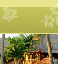 kamandalu resort & spa, discount bali hotels, ubud,bali