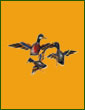 set of 3 flying duck
