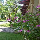 Aditya Beach Resort - Lovina
