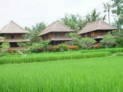 agung raka bungalows, ubud