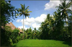 Ananda Cottages