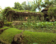 ARMA - Bali Luxury Villas & Resort 