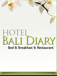 Bali Diary
