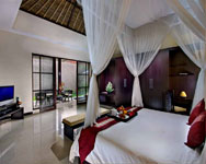 Bali Rich Luxury Villa Ubud