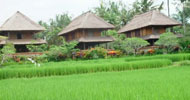 Agung Raka Bungalows