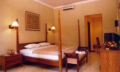 Hotel Puri Bambu