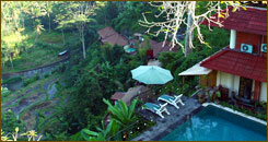 Puri Bunga Resort & Spa - Ubud Bali