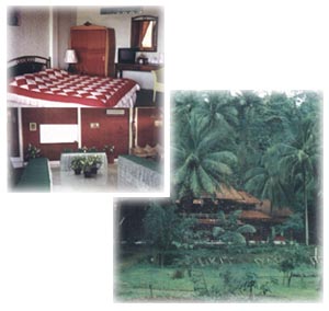 double room and twin room