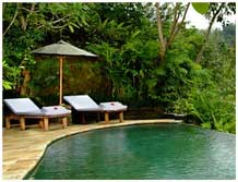 the pitamaha resort,ubud,bali