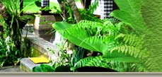 saren indah hotel
