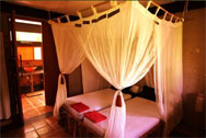 The Green Room Bali