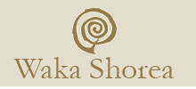 Waka Shorea