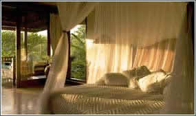 warwick ibah luxury villas & spa, ubud,bali