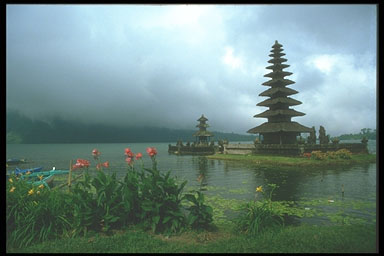 Picture from Bali