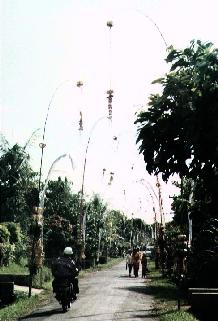 Penjor-decorated Road