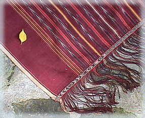 Details of Uis Nipis