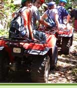 tour package,bali quad