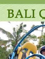 tour package,bali quad