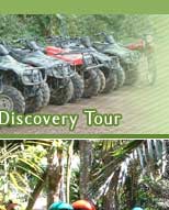 tour package,bali quad