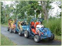 tour package,bali quad