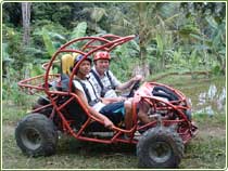 tour package,bali quad