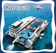 Reef Cruise,Bali hai Cruises, Bali