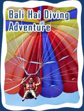 Bali Hai Diving Adventure, Bali Hai Cruises