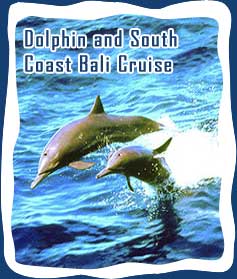 Dolphin and South Coast Bali Cruise, Bali