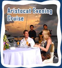 Aristocat Evening Cruise,Bali Hai Cruise