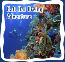 Bali Hai Diving Adventure, Bali Hai Cruises