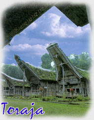 Toraja Land