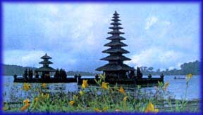 Bedugul