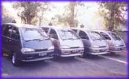 Car Rentals