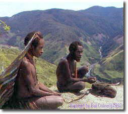 Baliem Valley