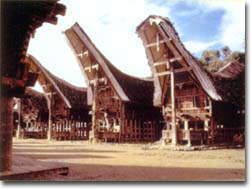 Toraja Land